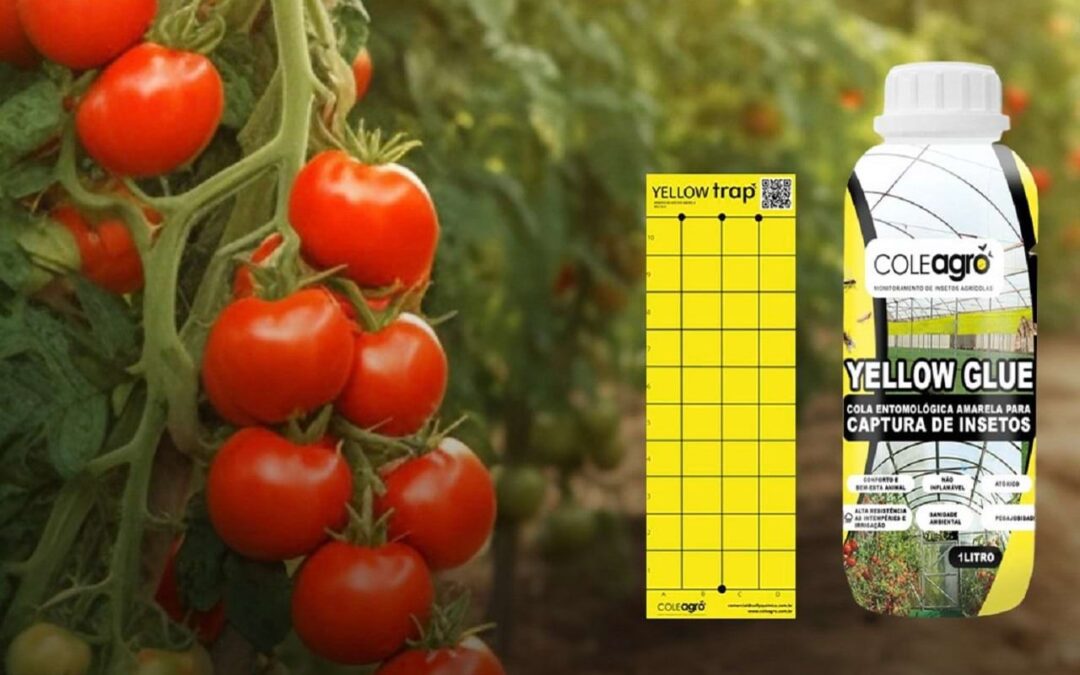 Monitoramento e Controle das Pragas do Tomate