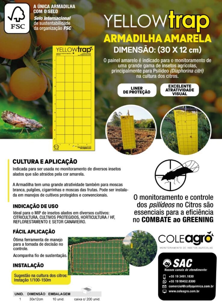 Yellow Trap Armadilha Adesiva Armadilha de Papel Amarela é indicada para o monitoramento de uma grande gama de insetos agrícolas em HF (horti-fruti) Principalmente para o monitoramento de Psilídeo (Diaphorina citri) na cultura dos citros.