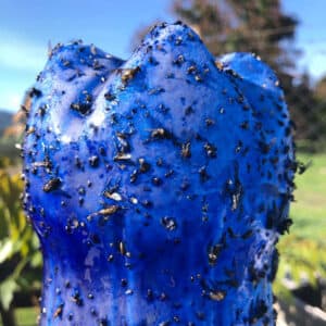 Cola Entomológica Azul Blue Glue: pode ser aplicado através de pincel, rolo de pintura, pulverização com pistola automática de alta pressão