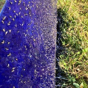 Cola Entomológica Azul Blue Glue é indicada para preparação de armadilhas adesivas para monitorar e capturar moscas do estábulo, trips e outras espécies.