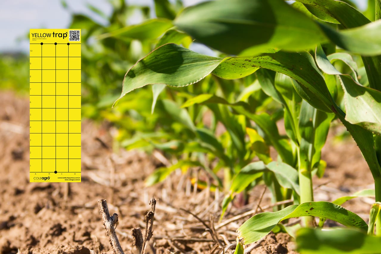 Shopagro Agronegocios