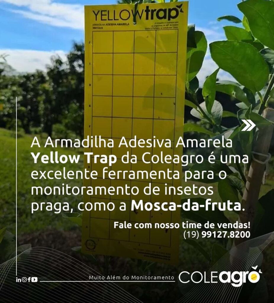 Armadilha Adesiva Amarela  Yellow Trap da Coleagro é a melhor tecnologia agrícola na área de monitoramento como a Mosca-das-Frutas.