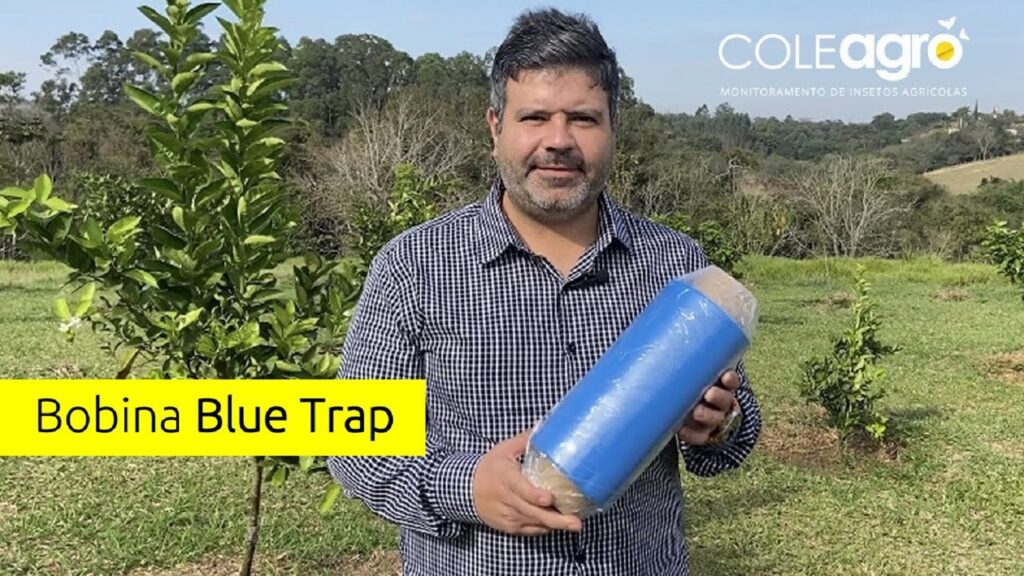 Lançamento da Bobina Blue Trap: Redução Populacional de Insetos: Mosca-do-Estábulos, pulgões, besouros, tripes, mosca-branca, cigarrinhas, fungus-gnats e ácaros