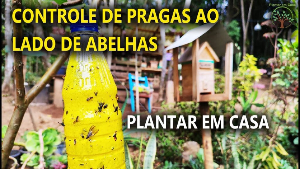 Depoimento do Canal YouTube "Plantar em Casa" sobre o controle de pragas ao lado de Abelhas usando a armadilha adesiva Yellow Glue da Coleagro