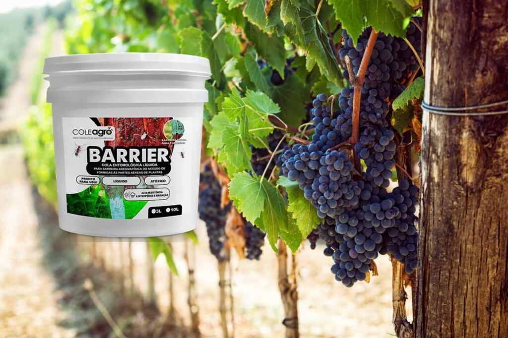 A Cola Entomológica líquida Barrier é utilizada como barreira adesiva impedindo o acesso de formigas à parte aérea das plantas. Indicado para o cultivo de uva, fruticultura e produção florestal.