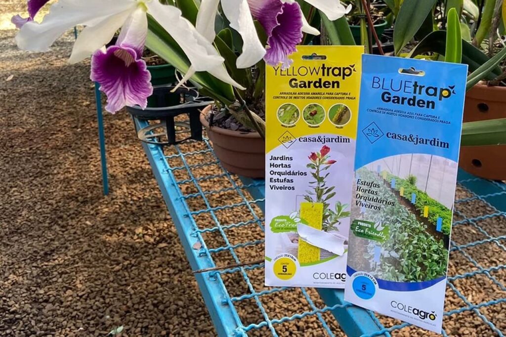Armadilha Adesiva YELLOW TRAP GARDEN e BLUE TRAP GARDEN sem veneno da Coleagro: parceiras indispensáveis na guerra contra pragas